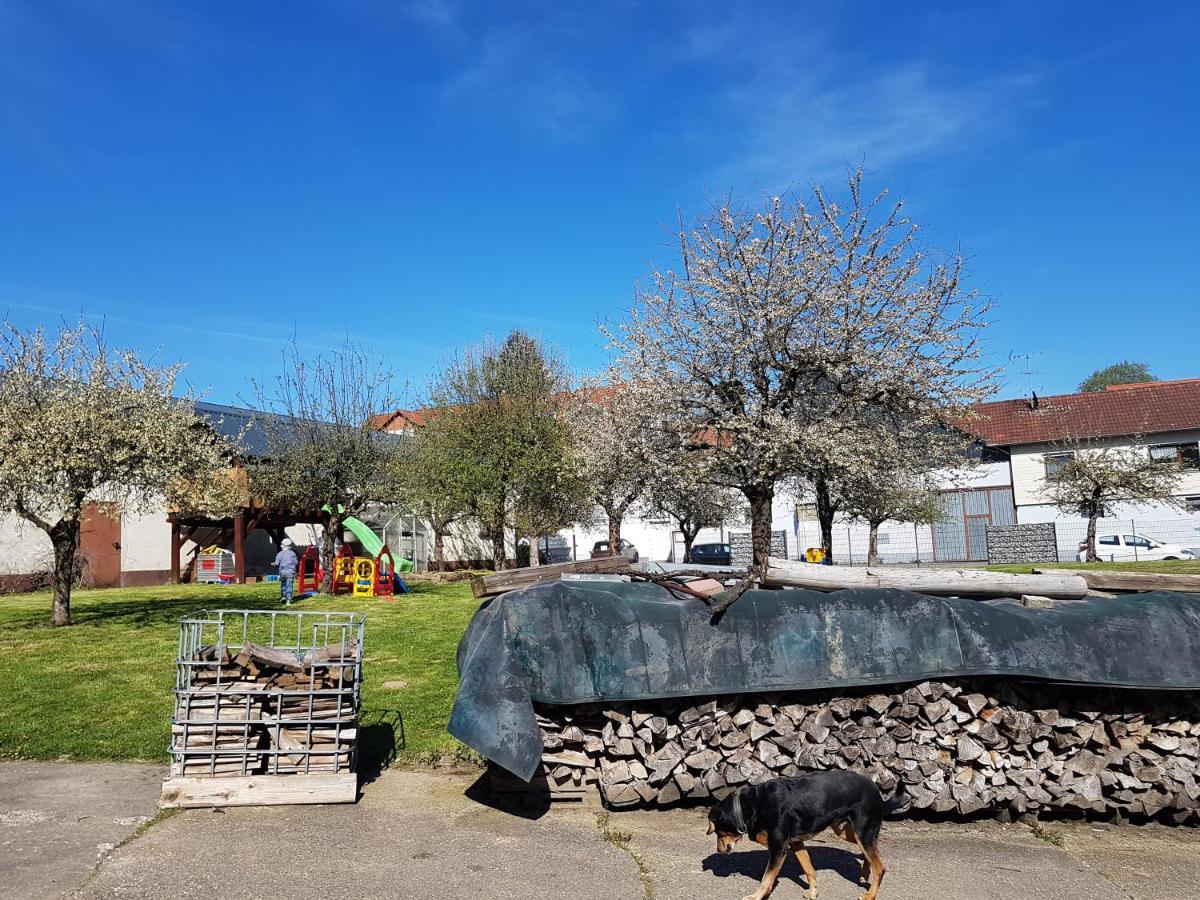 Ferienwohnung/Monteurzimmer Auf Dem Bauernhof Mörlenbach Esterno foto