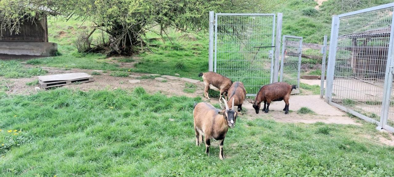 Ferienwohnung/Monteurzimmer Auf Dem Bauernhof Mörlenbach Esterno foto