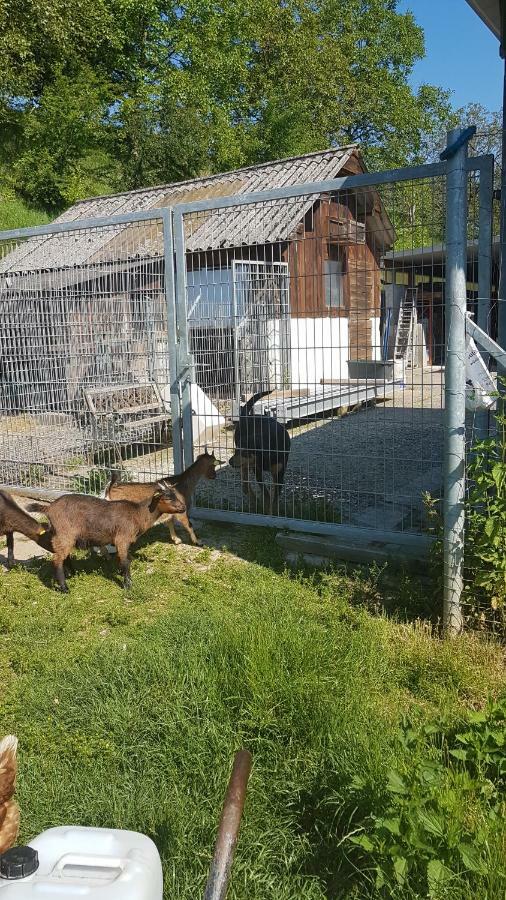 Ferienwohnung/Monteurzimmer Auf Dem Bauernhof Mörlenbach Esterno foto